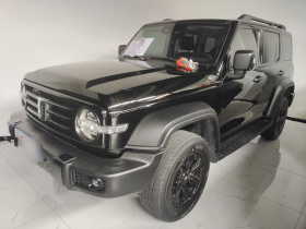 坦克300 2021款 越野版 2.0T 征服者