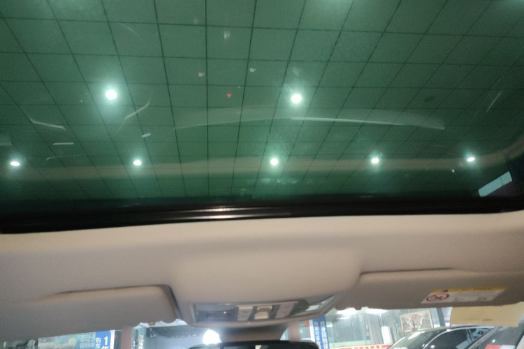 大众 朗逸 2024款 300TSI DSG星空领先版局部细节22