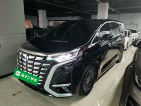 腾势D9 2024款 DM-i 1050 尊享型