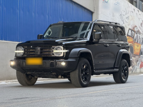 坦克300 2023款 越野版 2.0T 征服者