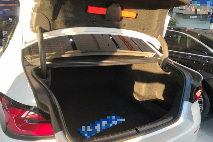 宝马5系 2022款 改款二 530Li xDrive 豪华套装局部细节23