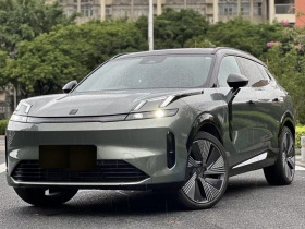 领克08 EM-P 2023款 220km 四驱性能Halo