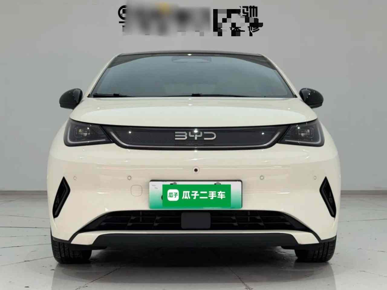 比亚迪 海豚 2025款 智驾版 410km 时尚版(1)