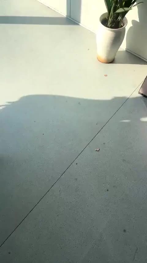 宝骏悦也Plus 2026款 301km旗舰版讲解2