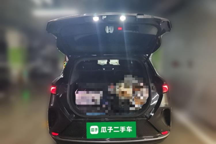 ARCFOX极狐 极狐 阿尔法T(ARCFOX αT) 2023款 480E 森林版 160kW中控内饰23