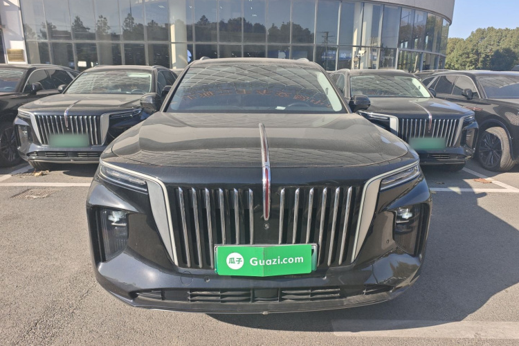 红旗E-HS9 2021款 460km 旗享版 六座车身外观2