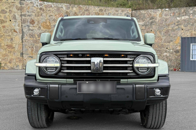 坦克300 2021款 城市版 2.0T 很有型车身外观6010