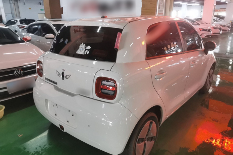 欧拉黑猫 2021款 301km 基础型车身外观6005