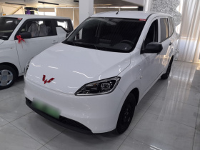 五菱汽车 五菱宏光新能源 2024款 纯电版 300KM 实用型