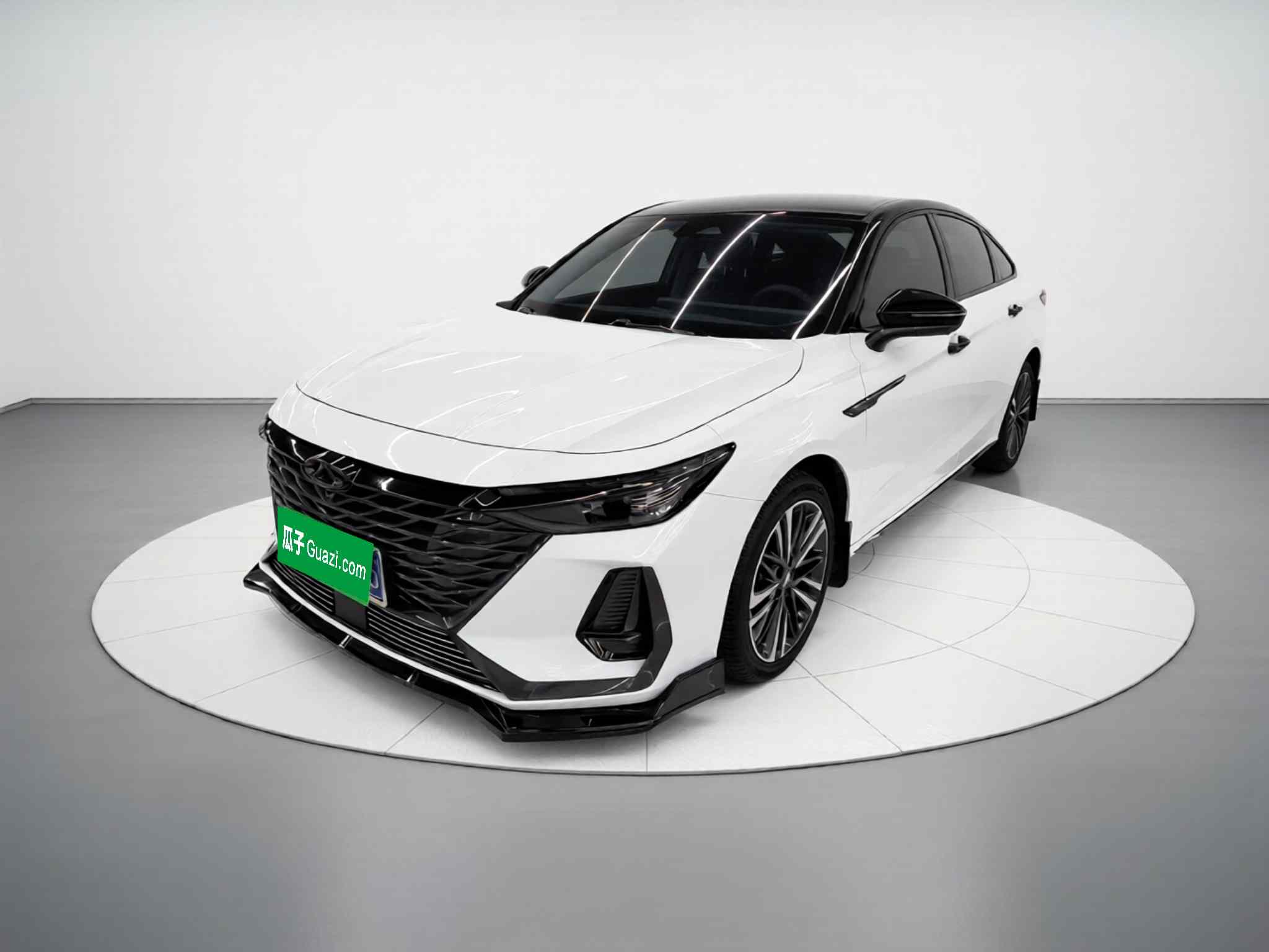 奇瑞 艾瑞泽8 2023款 高能版 2.0T DCT劲(2)