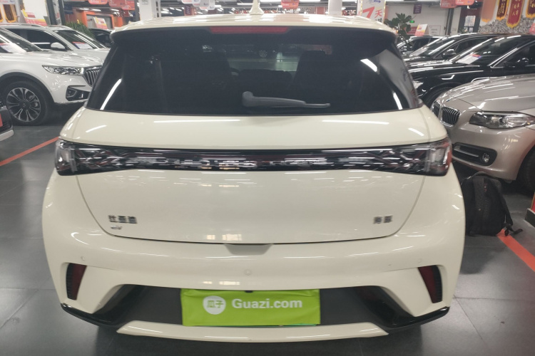 比亚迪 海豚 2024款 荣耀版 420km 时尚版车身外观6