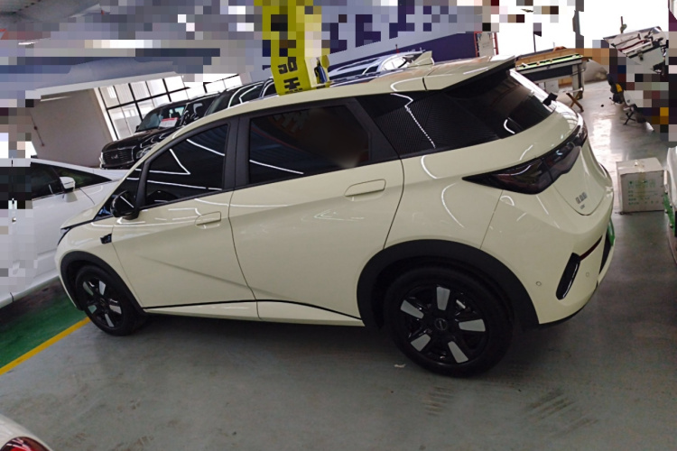 比亚迪 海豚 2025款 智驾版 410km 时尚版车身外观6003