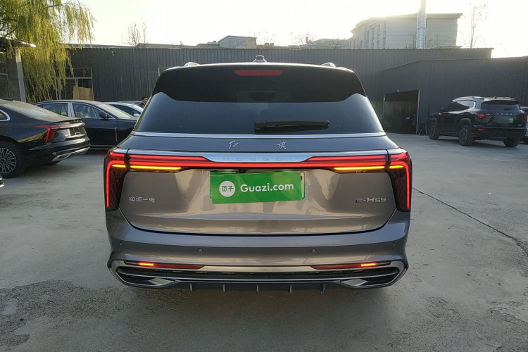 红旗E-HS9 2022款 690km 旗享版 六座车身外观6