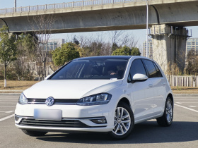 大众 高尔夫 2018款 1.6L 自动舒适型