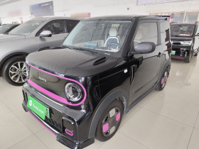 吉利银河 2024款 200km 熊猫卡丁