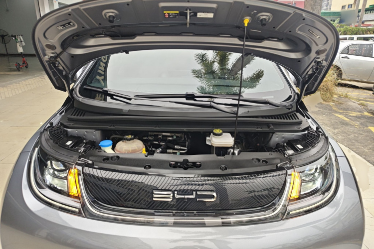 比亚迪 海豚 2021款 405km 自由版机舱底盘24