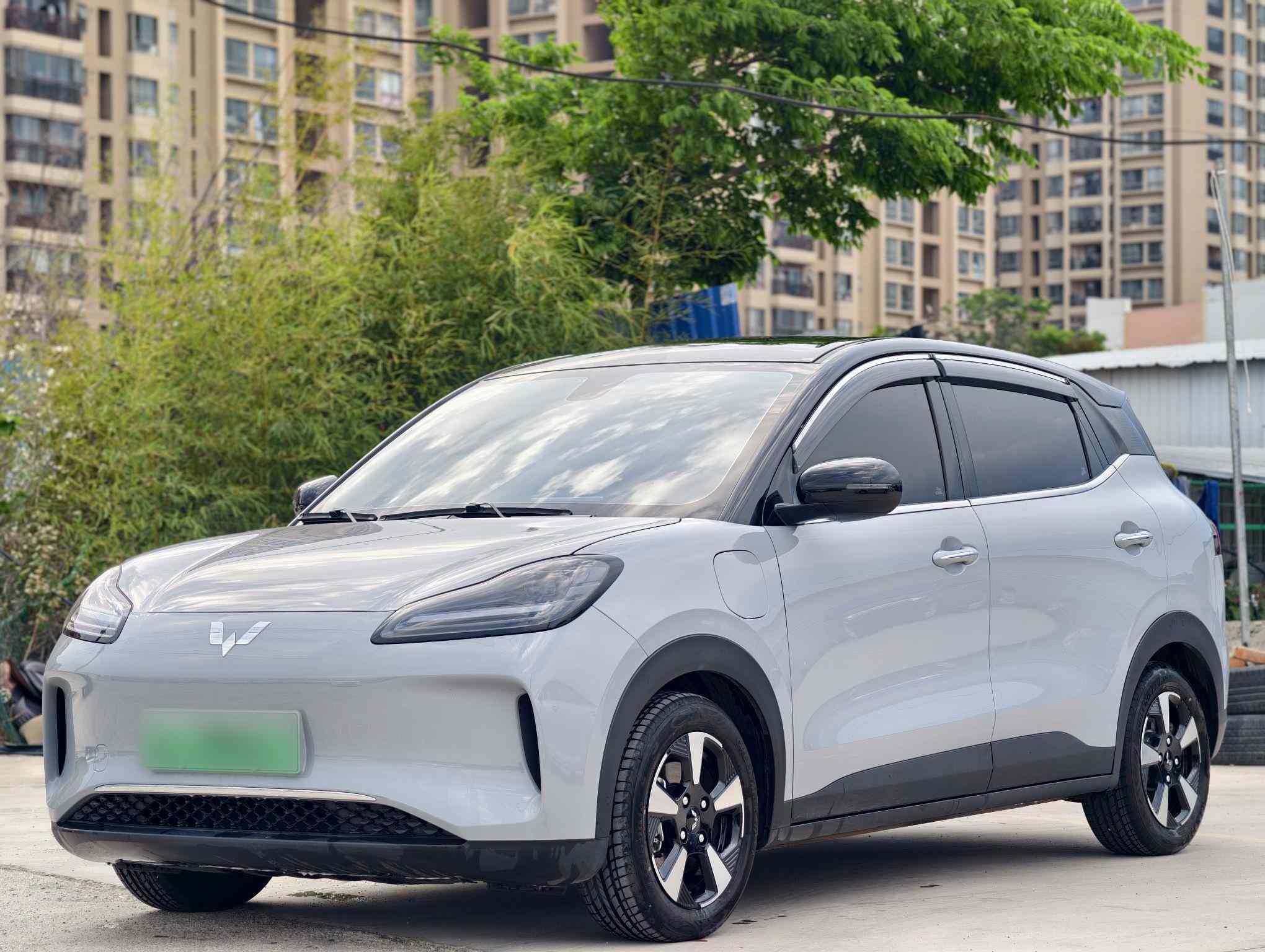 五菱汽车 五菱缤果PLUS 2024款 401km 五座版(3)