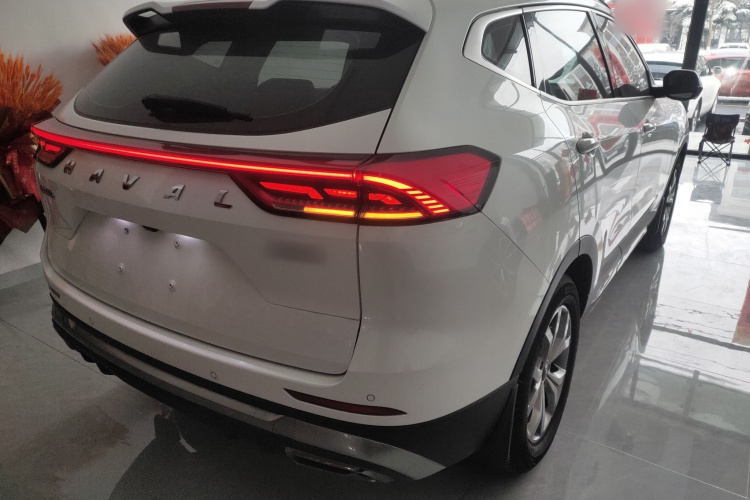 哈弗H6 2021款 国潮版 1.5T 自动冠军版车身外观6006