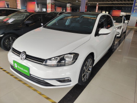 大众 高尔夫 2019款 280TSI DSG豪华型 国V