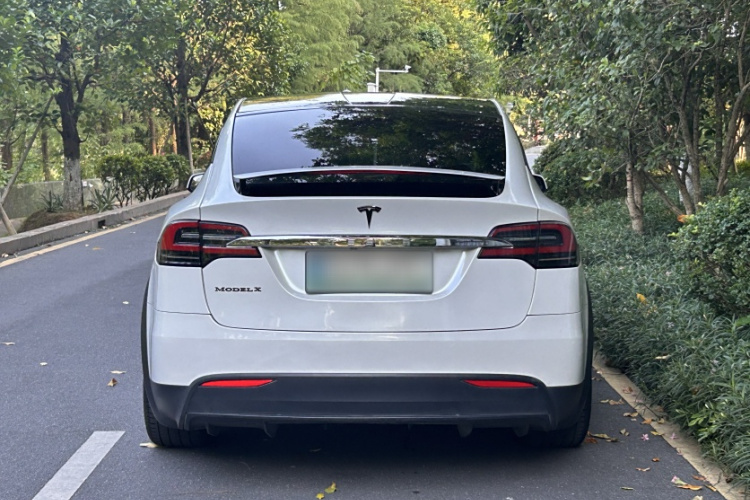 特斯拉 Model X 2019款 长续航版车身外观6001