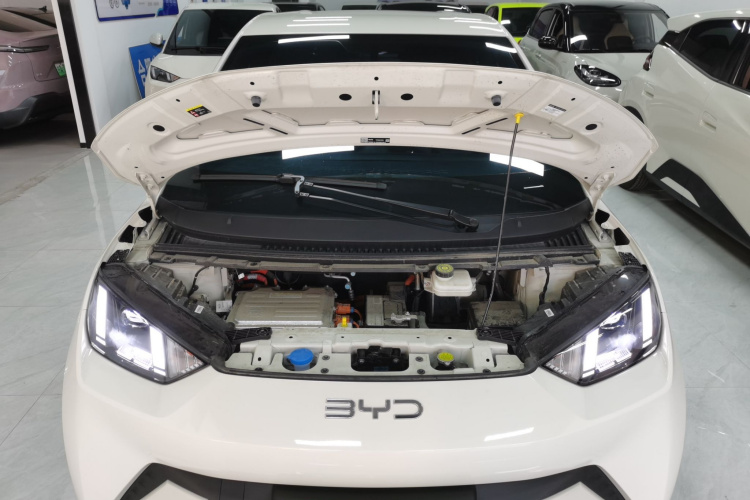 比亚迪 海鸥 2025款 305km 自由版机舱底盘24