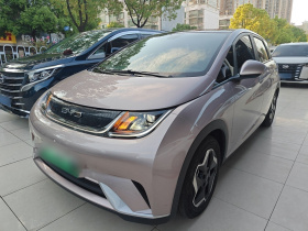 比亚迪 海豚 2021款 405km 时尚版