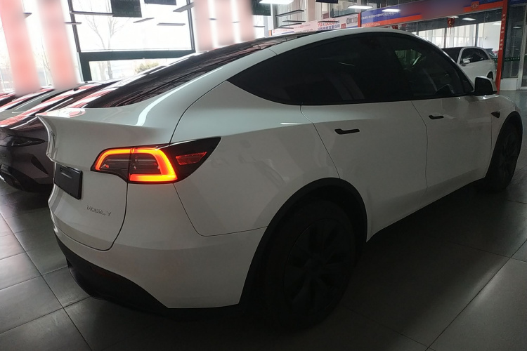 特斯拉 Model Y 2024款 长续航全轮驱动版车身外观6005