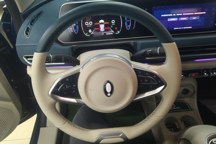 欧拉好猫 2023款 401km标准续航 豪华型 磷酸铁锂局部细节13