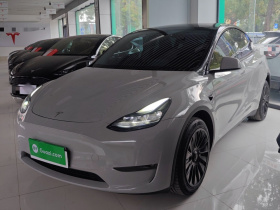 特斯拉 Model Y 2024款 长续航全轮驱动版