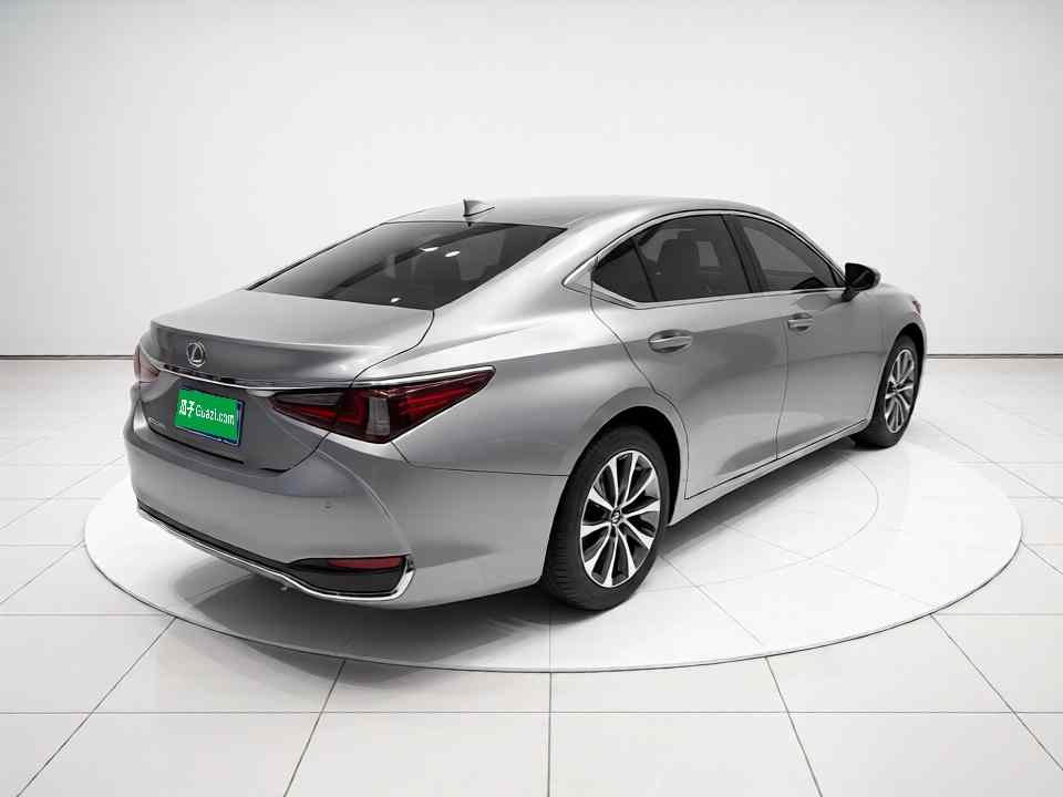 雷克萨斯ES 2023款 200 卓越版(5)