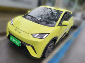 比亚迪 海鸥 2023款 自由版