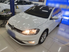 大众 高尔夫 2019款 280TSI DSG舒适型 国V