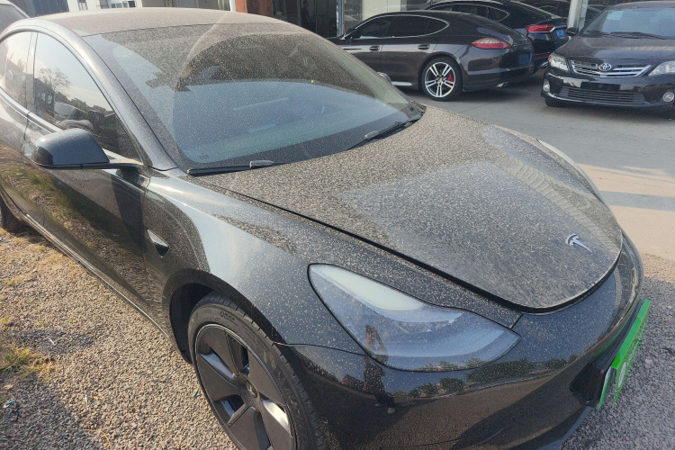 特斯拉 Model 3 2021款 标准续航后驱升级版 3D6车身外观6002