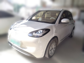 五菱汽车 五菱缤果 2023款 203km 轻享款