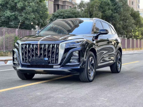 红旗HS3 2023款 1.5T 两驱善为版