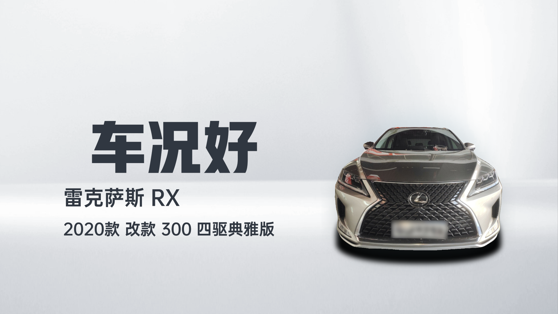雷克萨斯RX 2020款 改款 300 四驱典雅版解读2
