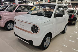 吉利银河 2024款 熊猫mini 200km 耐力熊