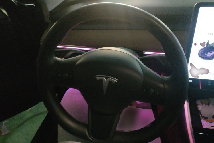 特斯拉 Model 3 2020款 长续航后轮驱动版局部细节13