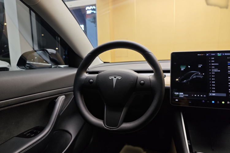 特斯拉 Model 3 2020款 标准续航后驱升级版局部细节13