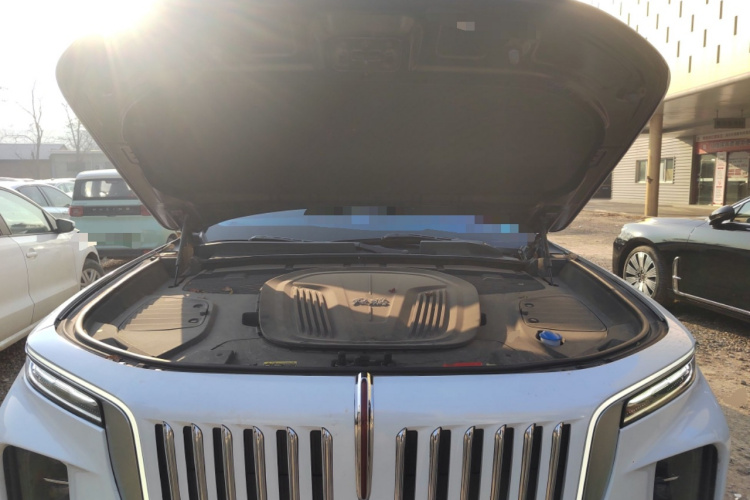 红旗E-HS9 2021款 460km 旗享版 六座局部细节24