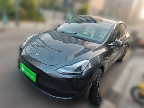 特斯拉 Model Y 2024款 长续航全轮驱动版