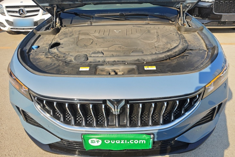 岚图汽车 岚图FREE 2021款 四驱标准增程专属豪华套装机舱底盘24