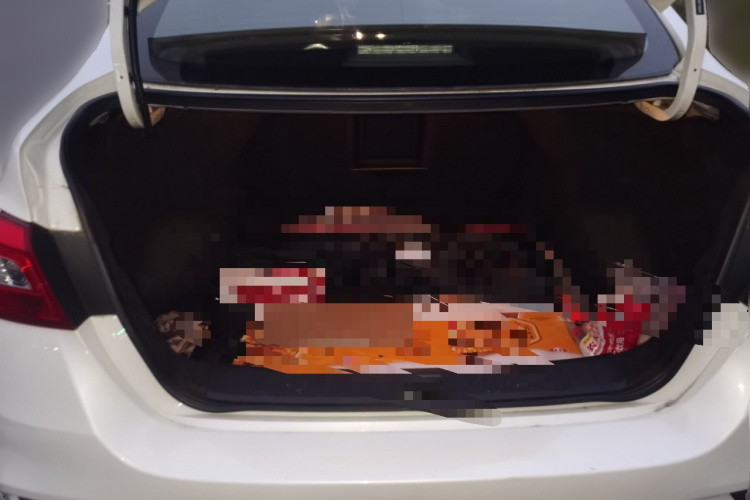 日产 轩逸 2019款 经典 1.6XL CVT豪华版中控内饰23