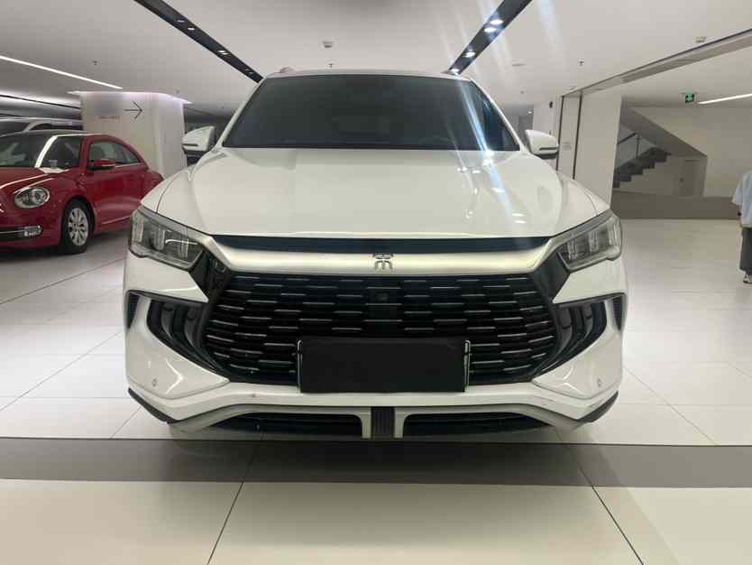 比亚迪 宋Pro新能源 2023款 冠军版 DM-i 71KM领先型(4)