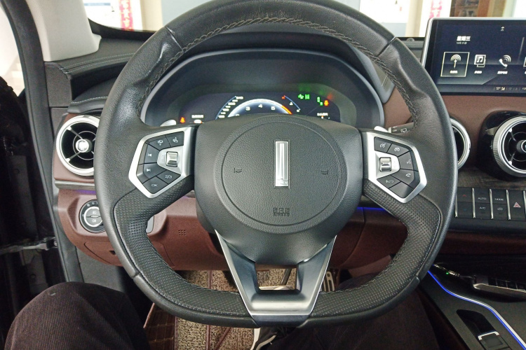 魏牌 VV7 2019款 升级款 2.0T 旗舰型 国VI局部细节13