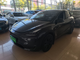 特斯拉 Model Y 2024款 长续航全轮驱动版