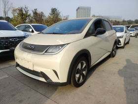 比亚迪 海豚 2024款 荣耀版 420km 自由版