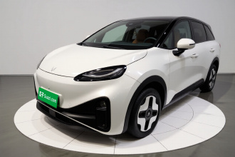 ARCFOX极狐 极狐考拉 2023款 家庭版