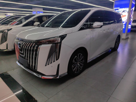 广汽传祺 传祺M8 2024款 大师系列 400T 至尊版