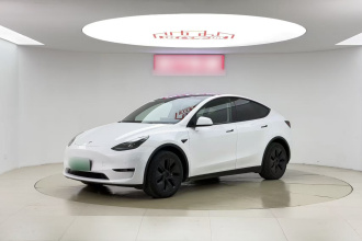 特斯拉 Model Y 2023款 长续航全轮驱动版
